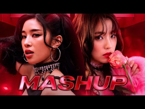 ANIMAL x BAD BOY - KATSEYE (캣츠아이) x RED VELVET (레드벨벳) - MASHUP