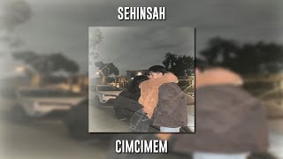 Şehinşah - CimCimem (Speed Up) Resimi