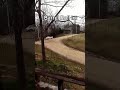 1977 Ford Escort Rally Car Barrel Roll