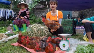 Full Video: Harvest Chickens and Eggs, Watermelon Fruit, Peanuts Goes To The Market Sells, Farm Life