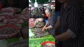 Selling Wild Meet Traditional Asian Market #streetfood #food #market #eating #animalsmarket #snake