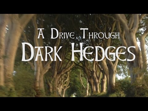 Vidéo: Dark Hedges De 'Game Of Throne' Perd Un Arbre Dans Une Tempête