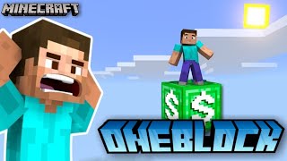 MINECRAFT BUT IT'S ONLY ONE MILLIONAIRE BLOCK