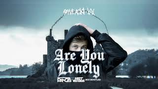 Steve Aoki & Alan Walker - Are You Lonely feat. ISÁK  (Pancza & Mattrecords 2k21 Bootleg) + DL