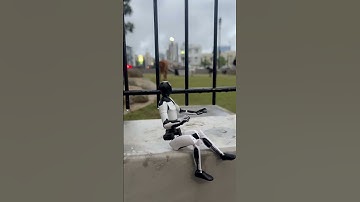 Tesla Bot Lets The Dogs Out ￼