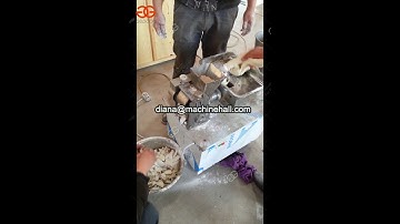 Automatic Curry Puff Making Machine Sold To Malaysia|Dumpling Making Machine