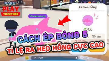 Play Together | Hướng Dẫn Chi Tiết Cách Câu Cá Heo Hồng | Cách Tăng Tỉ Lệ Xuất Hiện Heo Hồng | NAPU