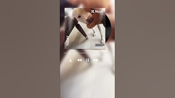 Everything An Album Cover… 😱🤪 #clips #cod #edit #mw2 #tiktok #editing