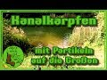 Kanalkarpfen - mit Partikeln auf die Großen