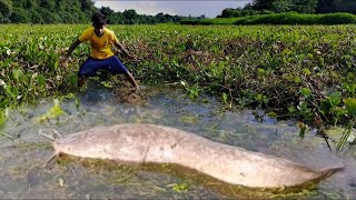 Amazing Hand Fishing Video.  Traditional Big Fish Catching By Hand Fishing in Bills