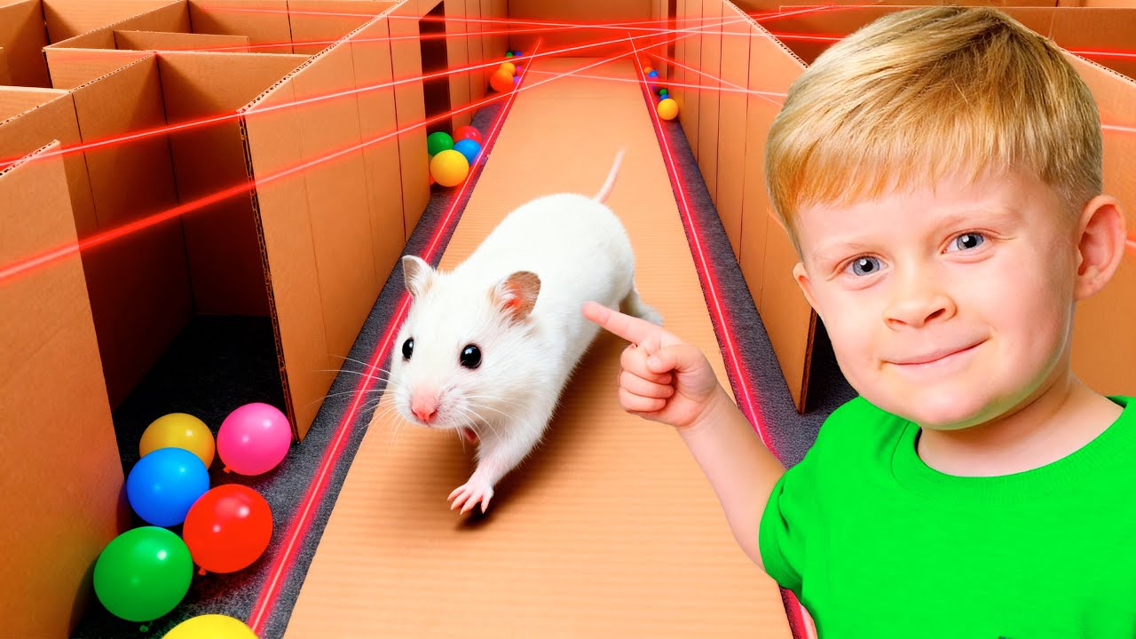 الأطفال محاصرون داخل متاهة الهامستر! يجب على الأطفال الهروب!