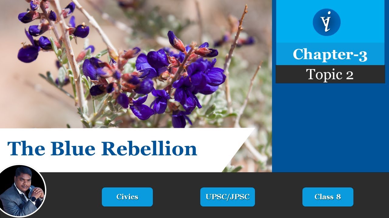 The Blue Rebellion And After Class 8 JIGYASA GYAN VIGYAN YouTube