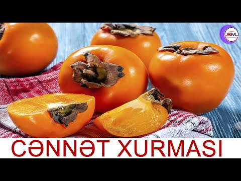 Video: Carambola: Hansı Meyvə Və Necə Yemək Olar?