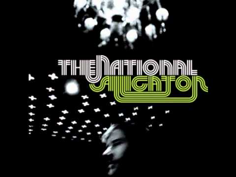 Looking For Astronauts Video