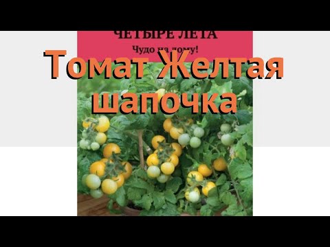 Томат обыкновенный Желтая шапочка  обзор: как сажать, семена томата Желтая шапочка