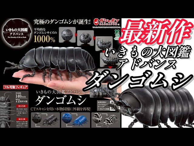 冬季迷彩ダンゴムシ、ジオラマ台座付き、いきもの大図鑑、カプセルトイ、ガチャ Amazon.co.jp: 冬季迷彩ダンゴムシ、ジオラマ台座付き、いきもの大図鑑