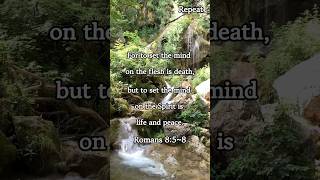 Short &amp; Deep Meditation (Romans 8:5~8) #dailybread #livingwords #godsword #todayswords