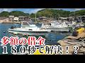 港からたった3分で高級魚が大漁に釣れワロターこれで船の借金が返済できる