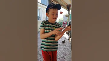 Если хочешь узнать рыба мальчик или девочка