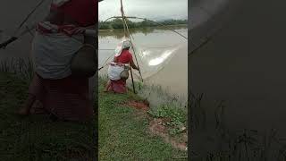 Mas dhorise ( Fish hunting )