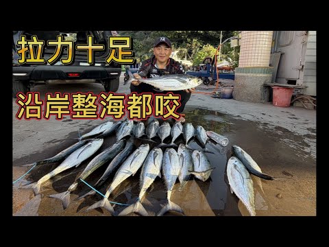 Keep looking for new fish. Many people love these fish, and they're plentiful all over the sea. T...