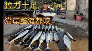 持續找新魚 很多人愛吃的魚整海都是 這拉力十足釣幾隻手就酸了 尤其是拿磯釣竿更累
