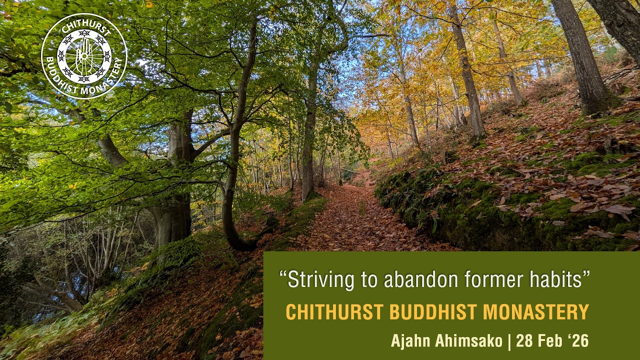 Striving to abandon former habits | Ajahn Ahimsako | 28 Feb 26