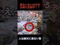 絶対に人が居ないはずの山奥に足跡が!?