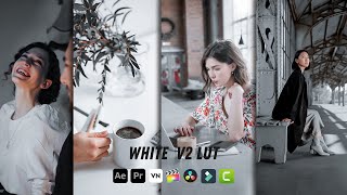 Instagram White Free Lut 2023 | Clean White Lut | Best Free White Luts | Free Luts | Canon luts 2023
