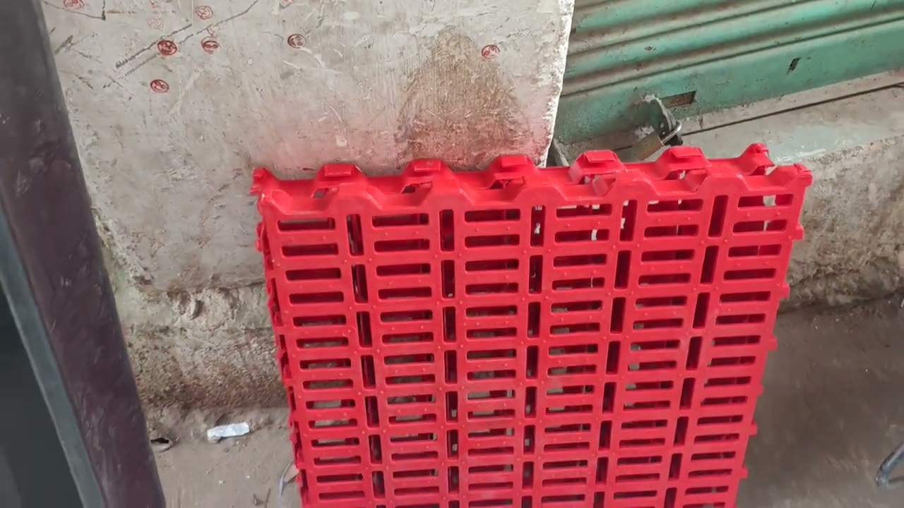 MM goat farm  Shah Ali Banda Hyderabad  pvc  phone number 8341743332