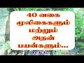 Herbs and their uses in tamil  40 herbal plants and their uses part 2