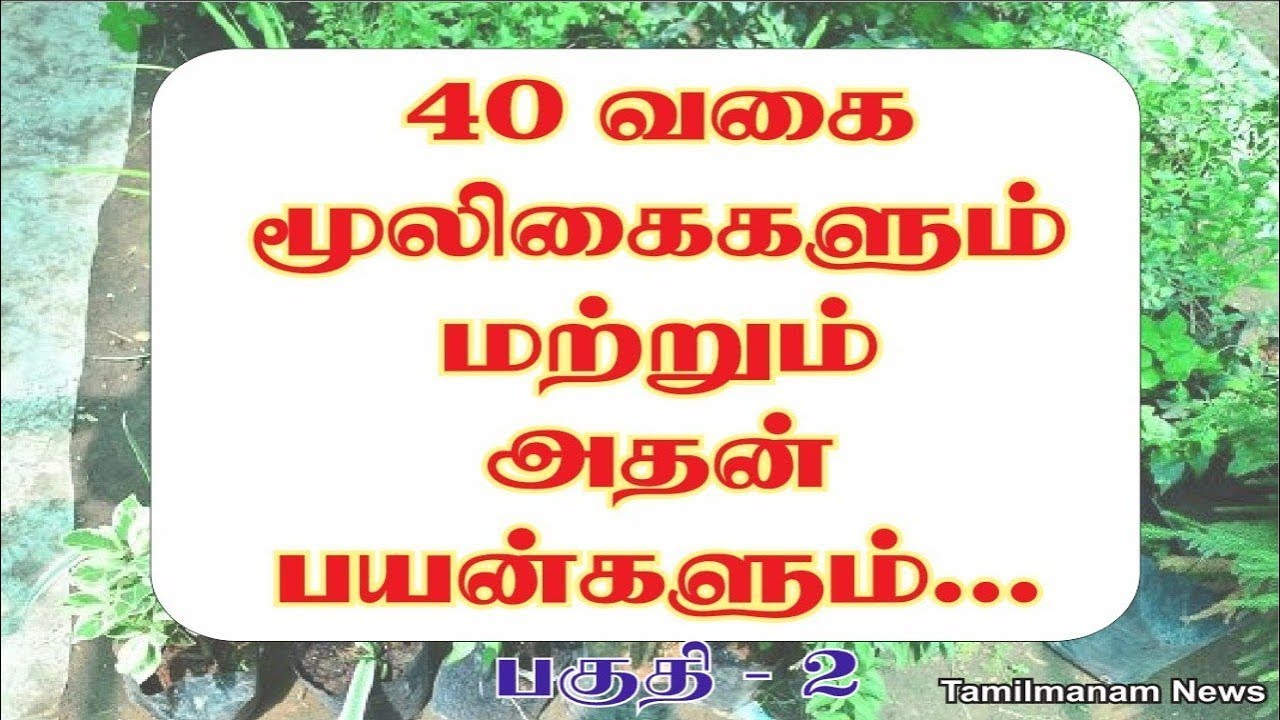 Herbs and their uses in tamil | 40 herbal plants and their ...
