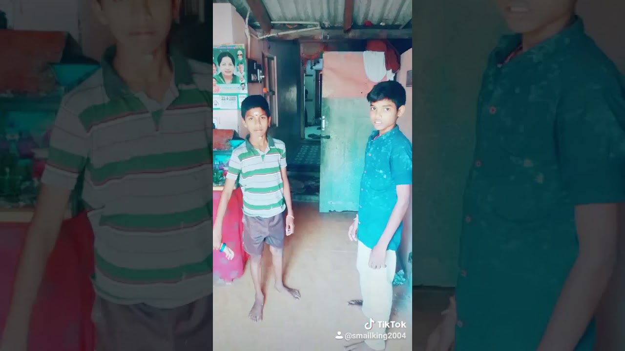 Pigeon fan's for snkl(15)