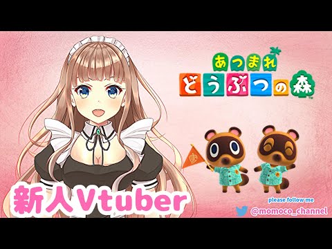 🍑【新人Vtuber】㊗初Live  あつまれどうぶつの森はじめるよー*˖♬೨【萌々子】