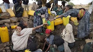 Sécheresse en Éthiopie : 10 millions de personnes en danger de famine (FAO)