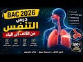 أبسط شرح لدرس التنفس  2026