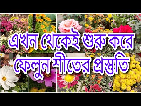 ভিডিও: কালানচো (52 টি ছবি): বাড়িতে একটি আলংকারিক ফুলের যত্ন নেওয়া। ফুলের সময় একটি ঘরের চারা দেখতে কেমন?