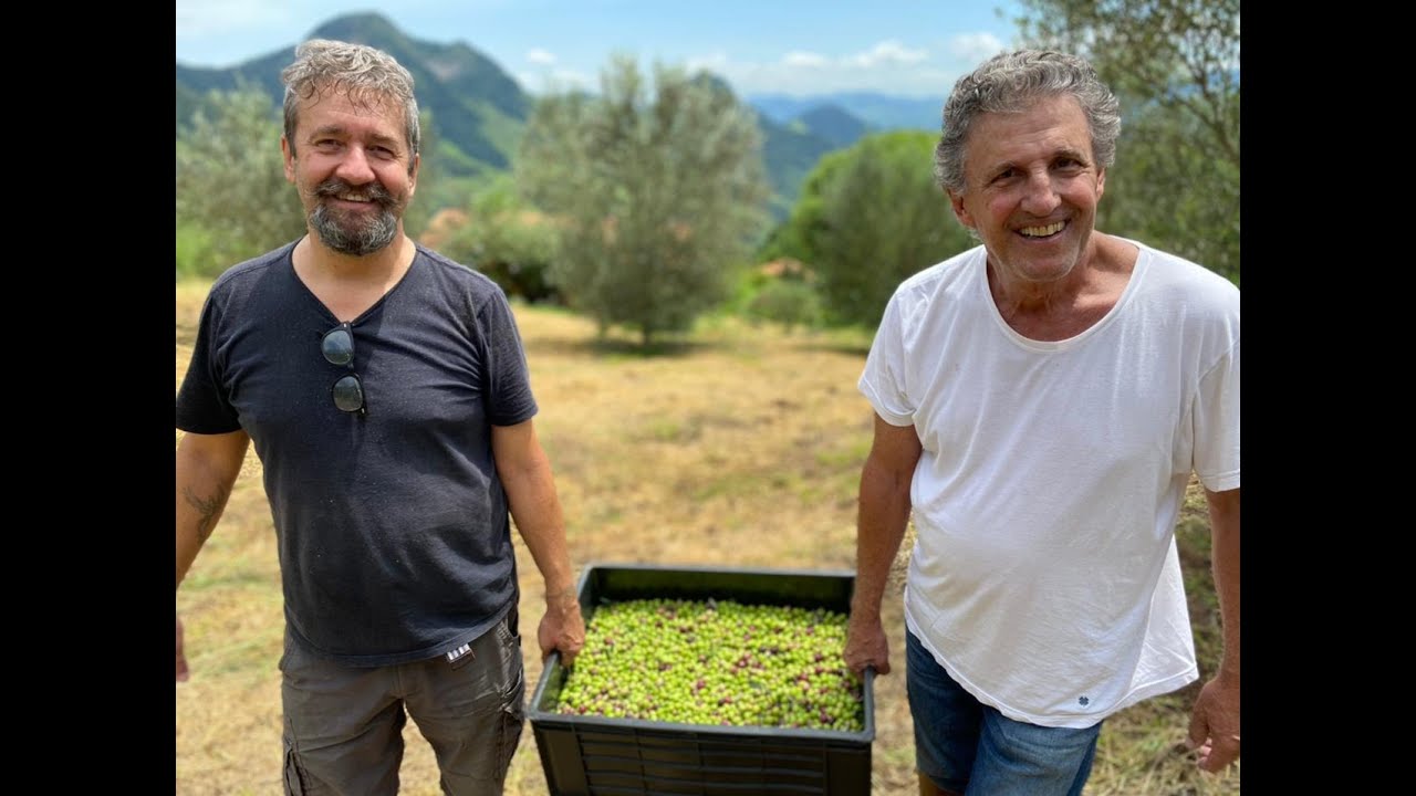 Azeite dos Ribeiro - As Oliveiras do Alto da Mantiqueira