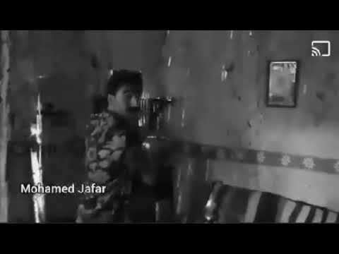 مهرجان يا امايا وحشاني كلمة يا ضنايا حالات واتس
