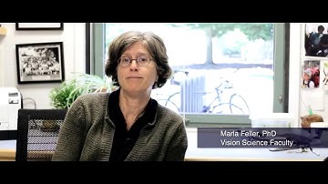 Professor Marla Feller on  Neural Activity on the Assembly of Neural Circuits