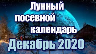 ЛУННЫЙ ПОСЕВНОЙ КАЛЕНДАРЬ НА ДЕКАБРЬ 2020 ГОДА САДОВОДА И ОГОРОДНИКА