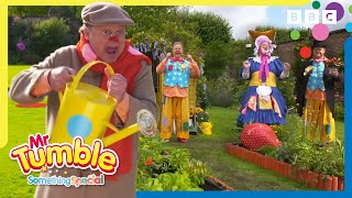 Growing Flowers with Grandad Tumble 🌸 | Mr Tumble and Friends