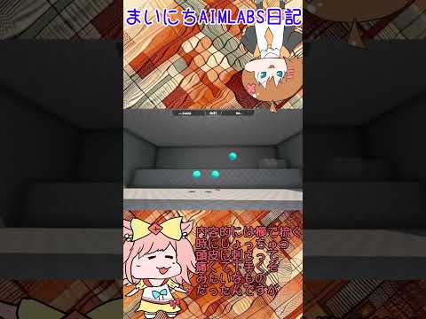 まいにちAIMLABS日記～8日目～　久々に散髪に行った話 #shorts #aimlab  #ゆっくり実況