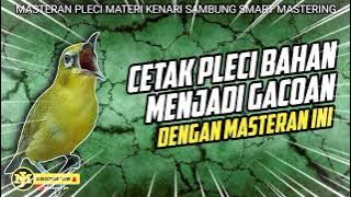 MASTERAN PLECI MATERI TEMBAKAN KENARI SMART MASTERING #masteranpleci #masteranplecijuara