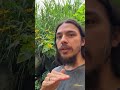 Doubt your doubts… Lmk in the comments if you have a breakthrough