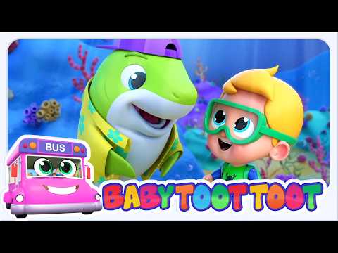 Canzone Del Cucciolo di Squalo | Di Più Divertente Video Animato per Bambini
