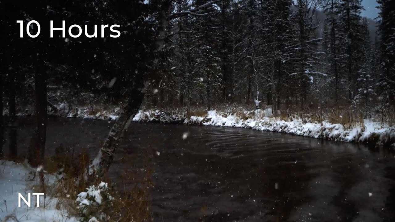 Winter River Sounds in Snowy Forest: Flowing Water & Cold Wind Sounds ...