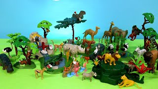 Playmobil Diorama and Animal Figurines
