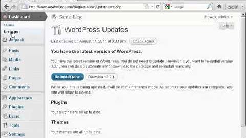 Video 17 - How to Upgrade Wordpress Themes Automatically