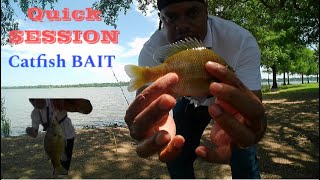 Catching BLUEGILL |||CATFISH BAIT||| WORMS